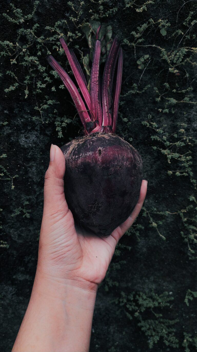 HumanN SuperBeets Energy Plus