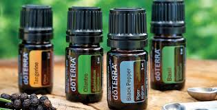 young living essential oils vs doterra oils