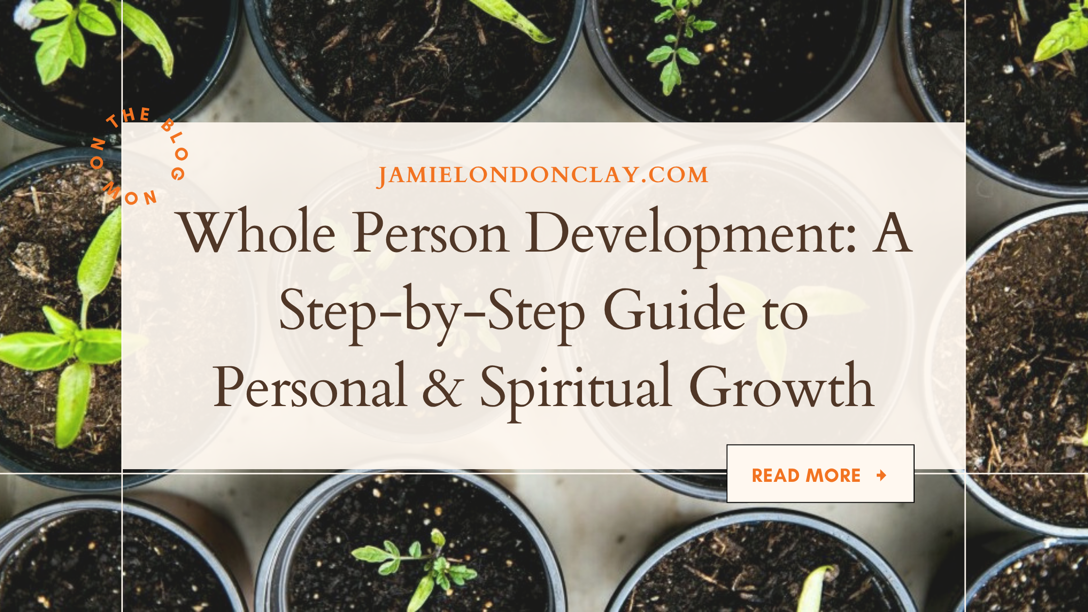 whole-person-development