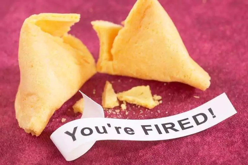 What to Do After Getting Fired