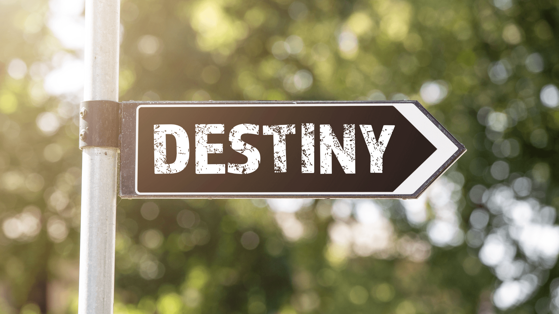 Ways to Stop Delaying Your Destiny